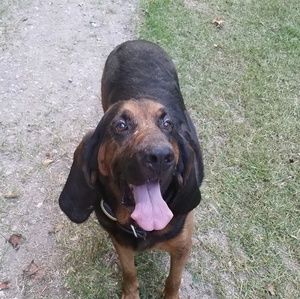 Meet your Posher, Nick